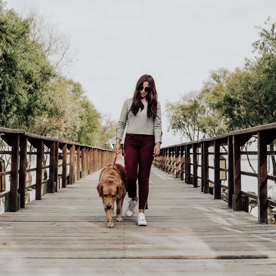 Woman walking her golden retriever on a bridge walking path