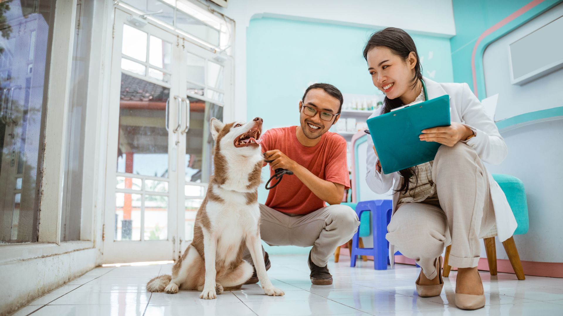 vet with dog and owner