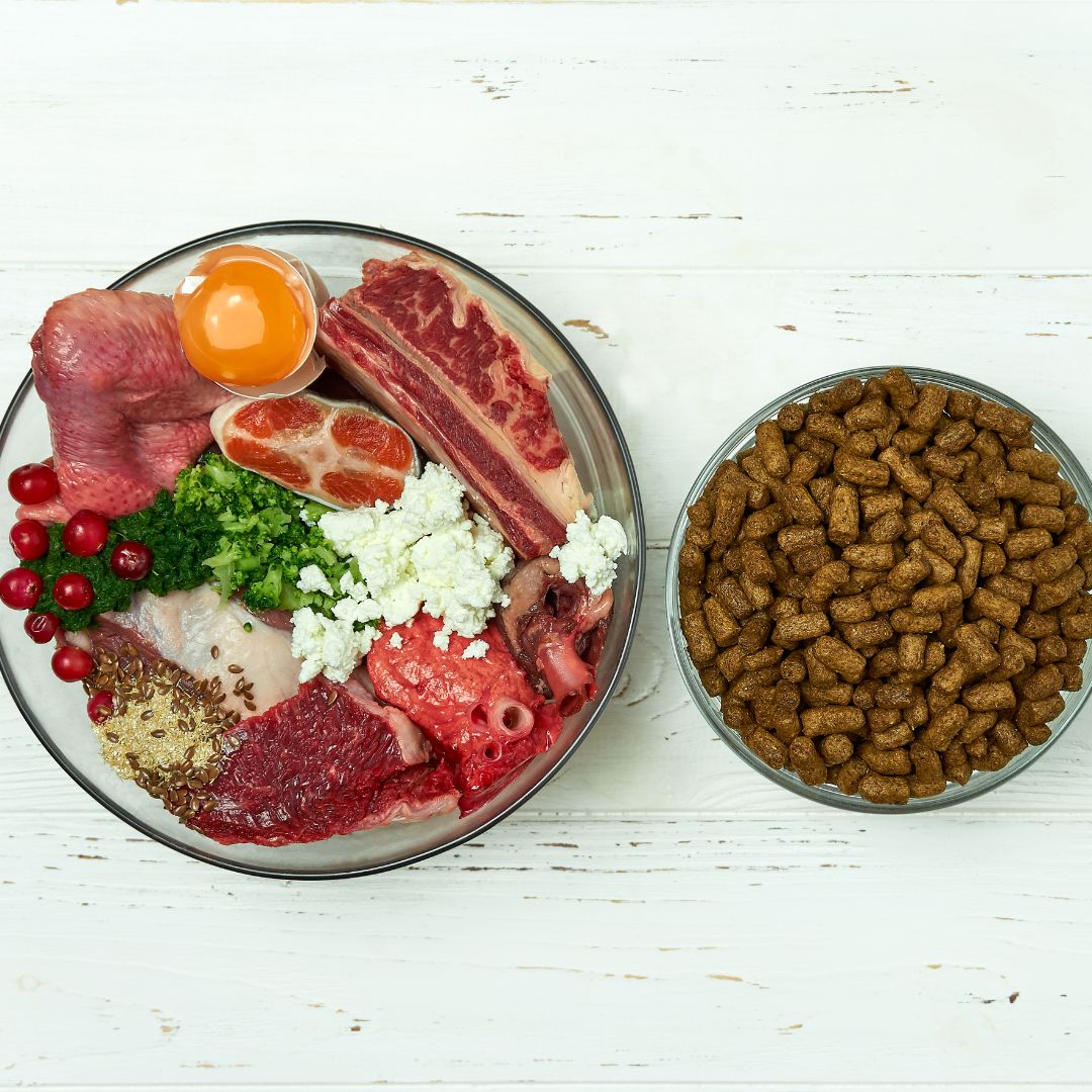 bowl of kibble next to a bowl of fresh food