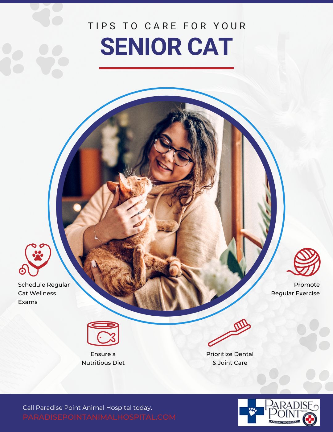 Infographic covering Tips to Care for Your Senior Cat