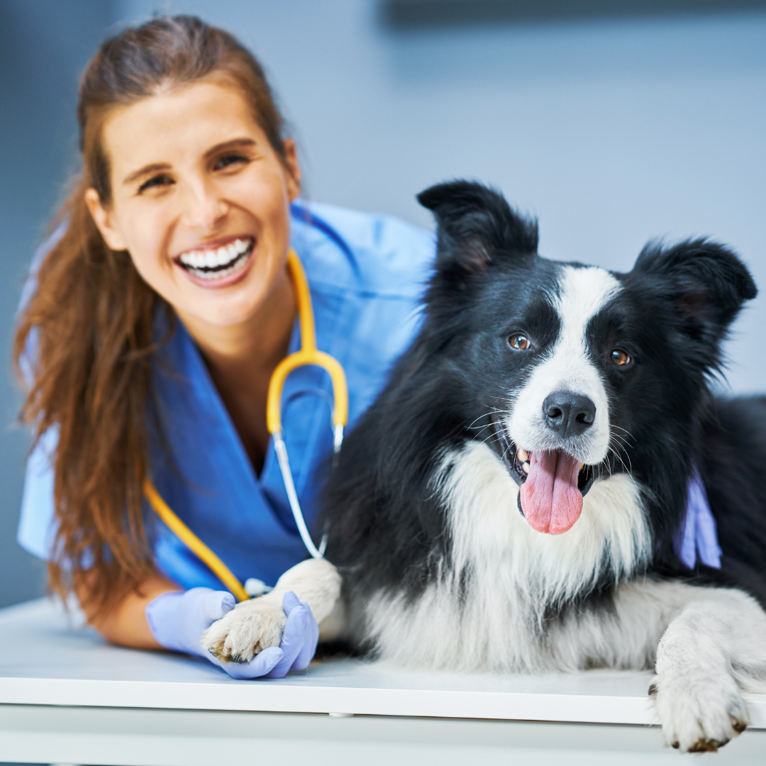 vet tech looking happy sitting laying next to a dog. 