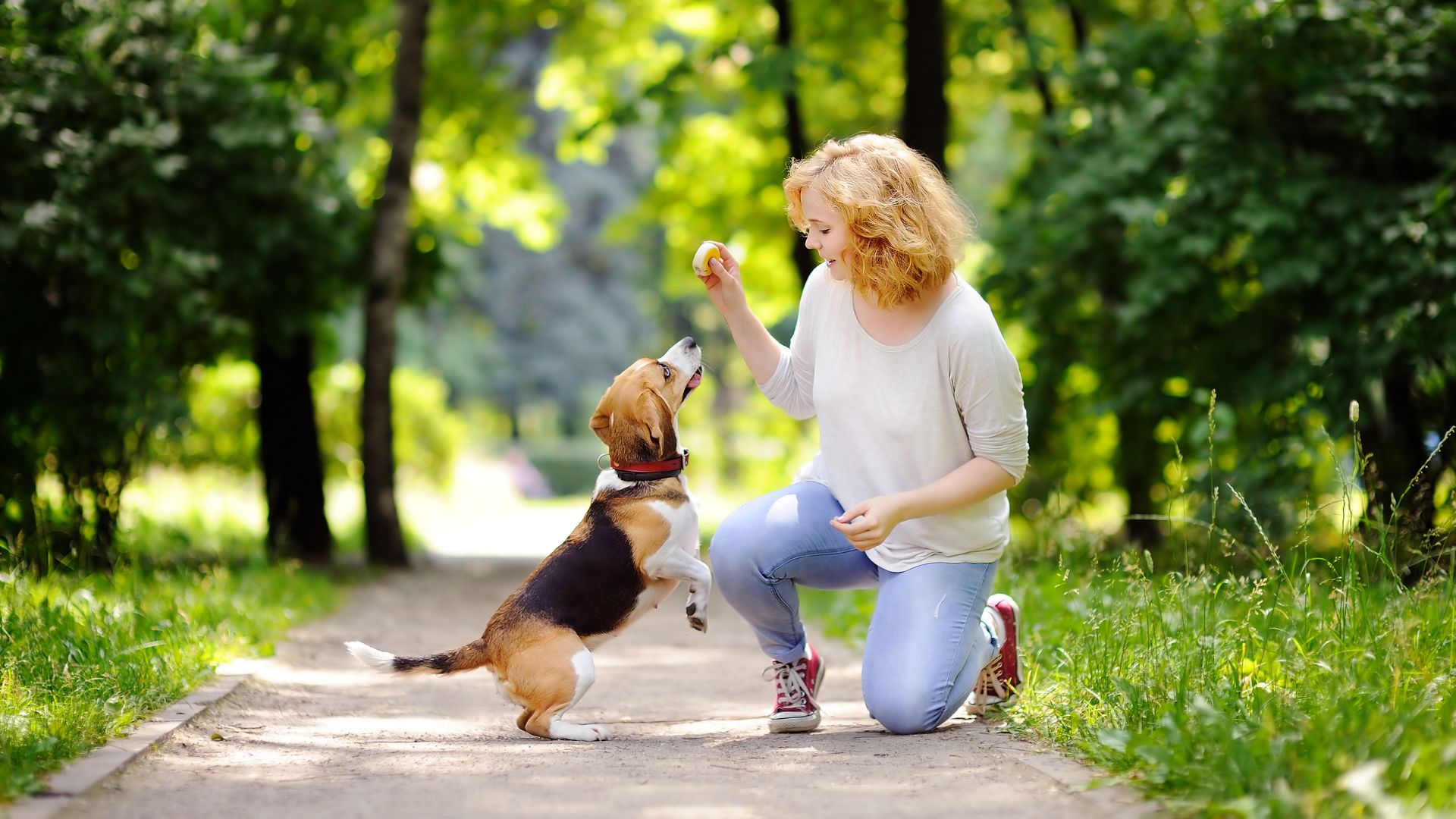 owner and pet playing in park