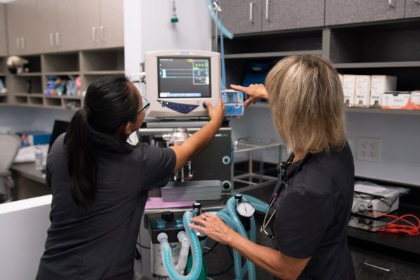 Vets On the Go - Image 1