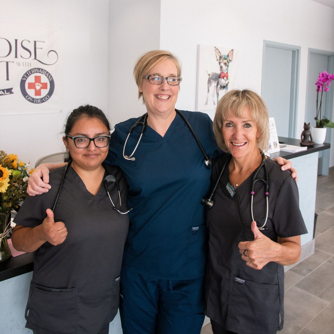 smiling clinic employees