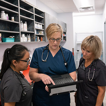 Senior-Feline-Img-5f7350a43ead3